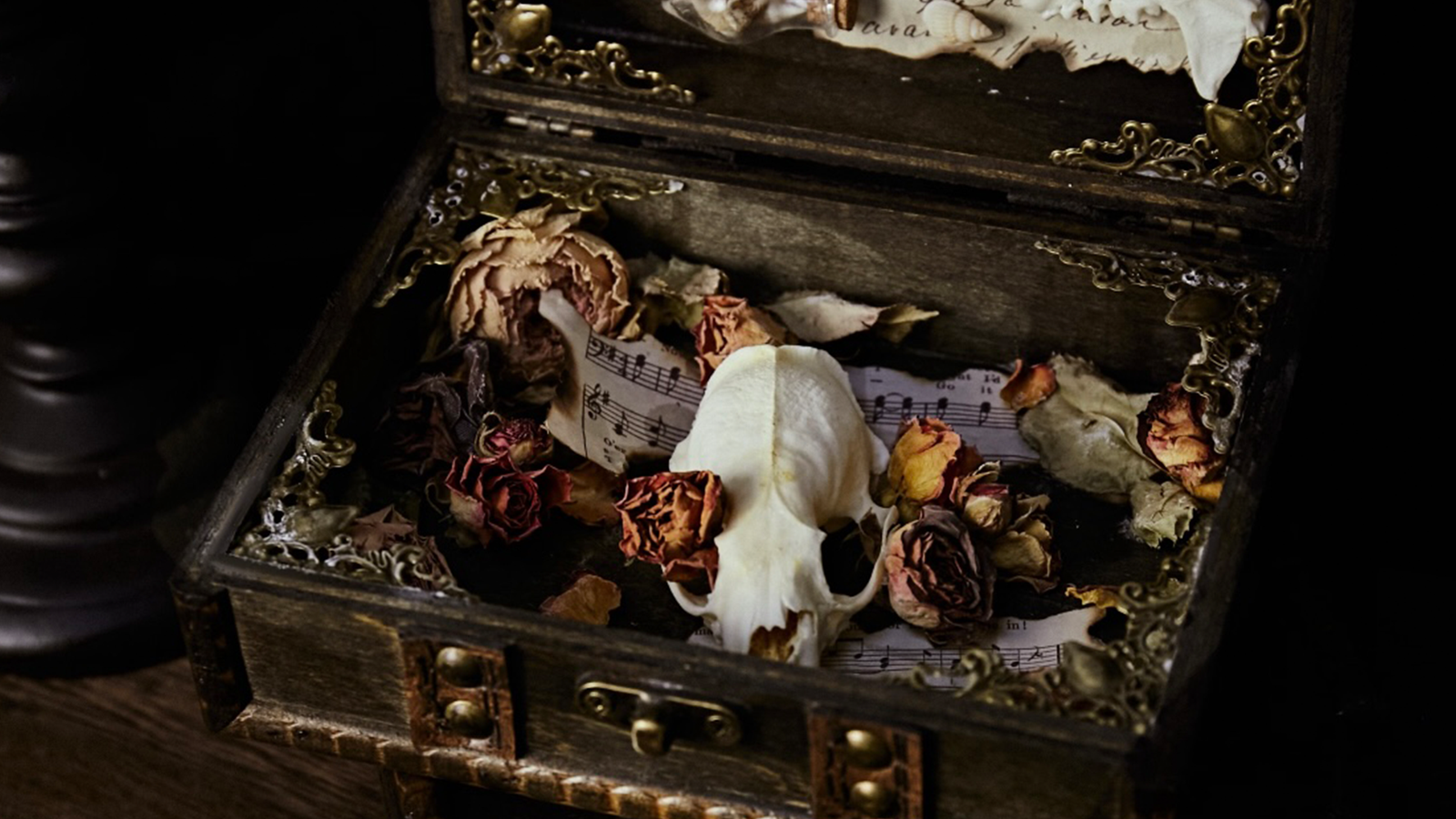 Gothic Jewelry Collection